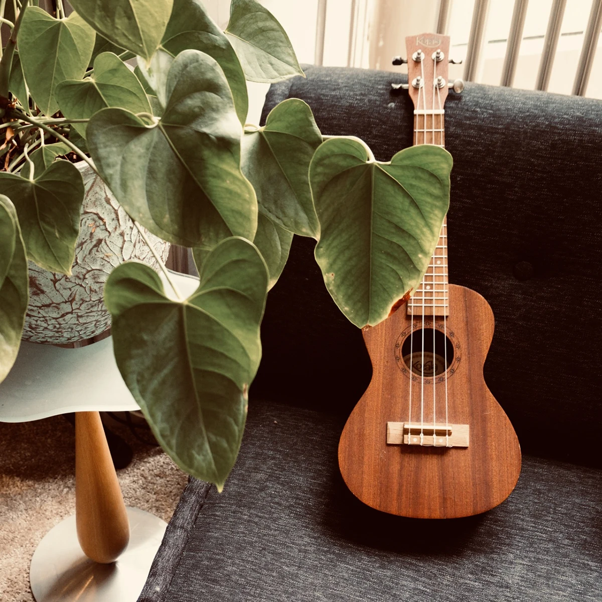 Groei in vrijheid bij Gitaar Academie Zwolle