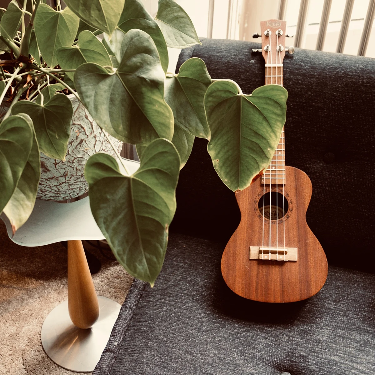 Ontdekken, ontwikkelen en beleven